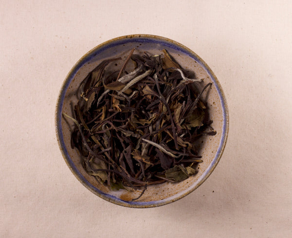 White Peony (Bai Mudan) | 白牡丹茶