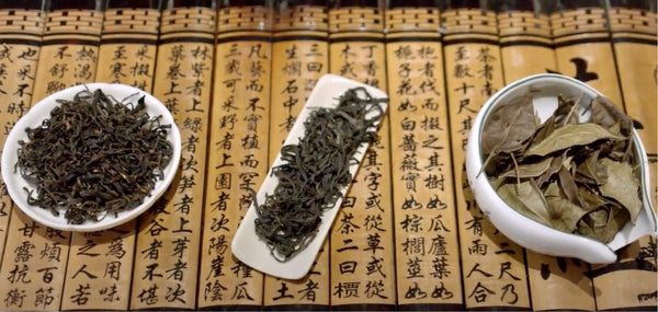 "Hometown" Taishan Tea Trio: GTI X Think!Chinatown Storytelling Collaboration | “家鄉”台山茶組合