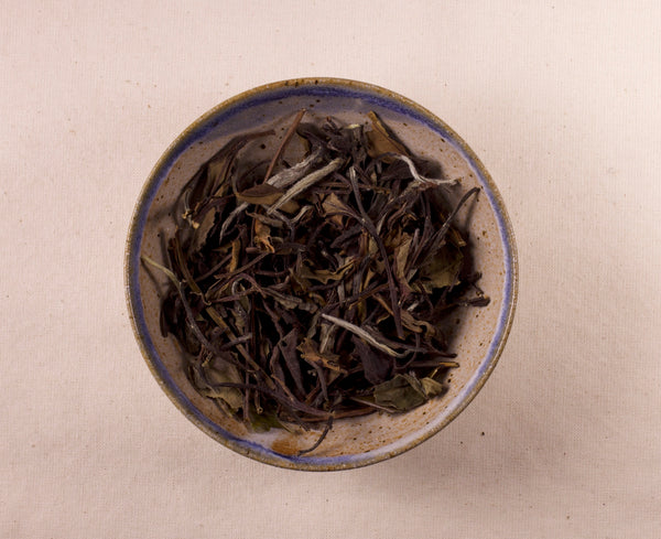 White Peony (Bai Mudan) | 白牡丹茶