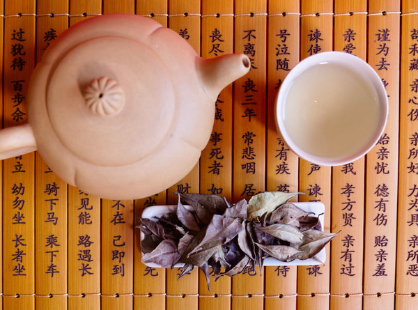 Taishan Wild Grown Cloud & Mist White Tea | 台山野生雲霧茶