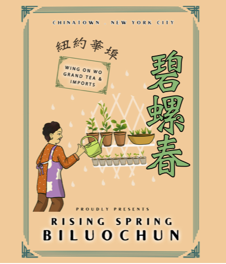 Wing On Wo x Grand Tea Imports - Rising Spring Biluochun